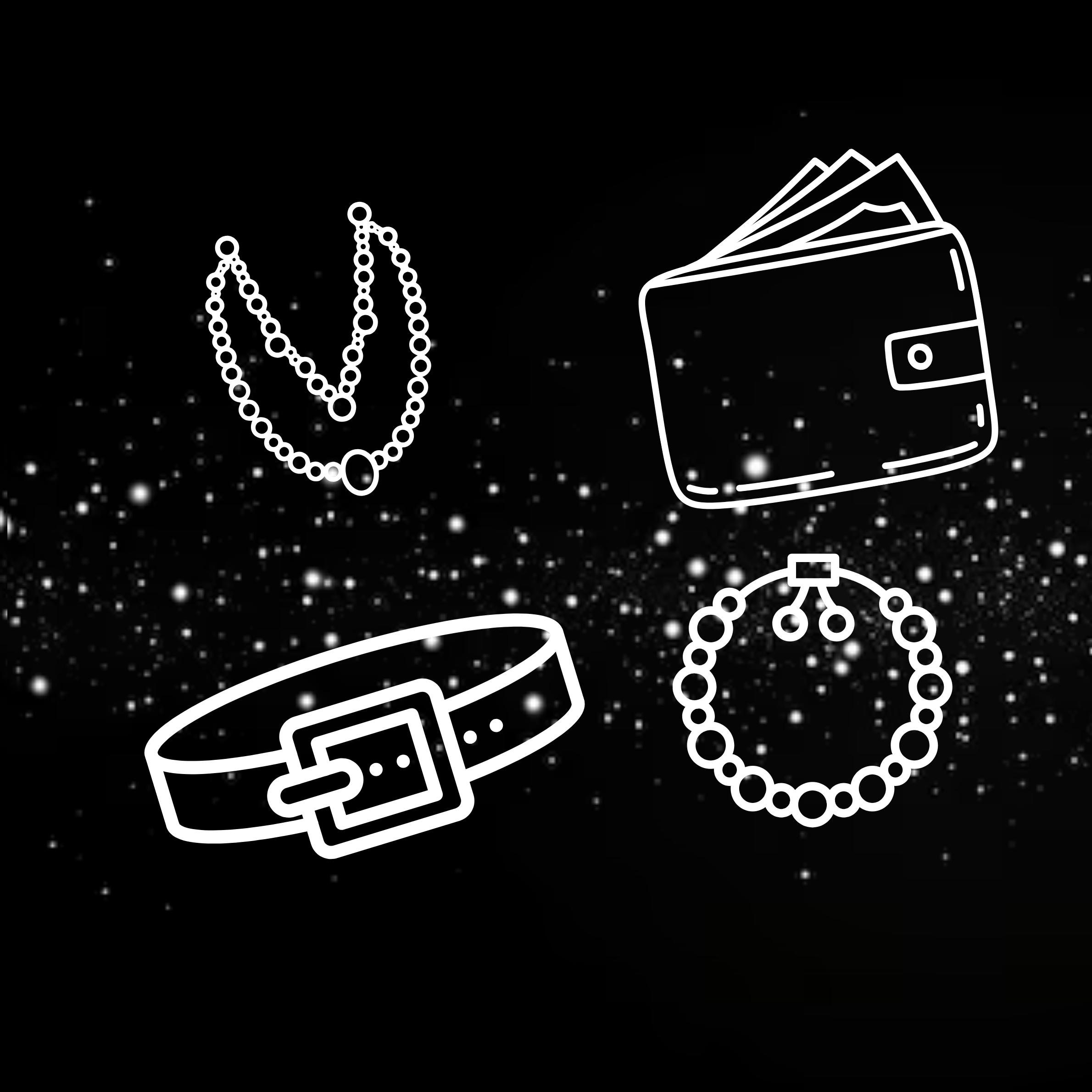 Accessories (wallets, cardholders, belts, jewelry)